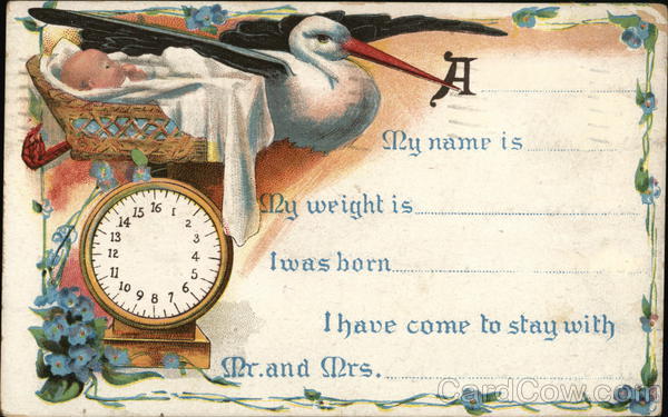 Birth Announcement Storks