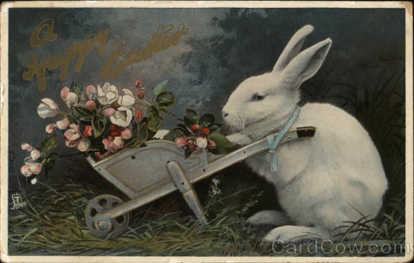 White Rabbit and Flowers