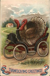 Thanksgiving Greetings - Turkeys Driving Car Thanksgiving Greetings - Turkeys Driving Car