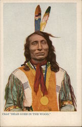 Indian Chief Native Americana Postcard Postcard Postcard