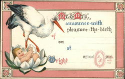 Birth Announcement Storks Postcard Postcard Postcard