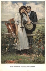 How To KNow The Wild Floers How To KNow The Wild Floers