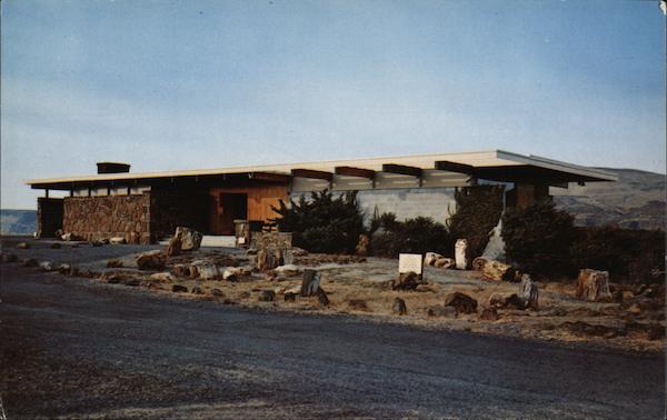 Ginkgo State Park Museum Vantage Washington