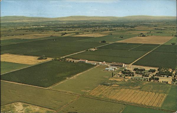 Hop Ranch, Yakima River Valley Washington