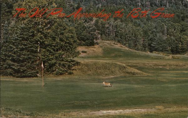 The Old Pro Approaching the 18th Green Golf
