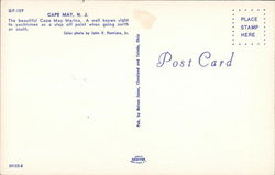 back