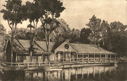 The Old Mill Restaurant and Gift Shop Postcard