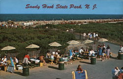 Sandy Hook State Park Postcard