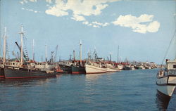 Commercial Fishing Fleet Postcard
