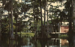 University of Southwestern Louisiana - Cypress Lake Postcard