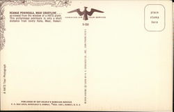back