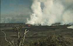 View from the Crater Lookout of Hawaii Volcanoes National Park Postcard