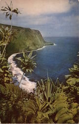 Waipio Valley Waipio Valley