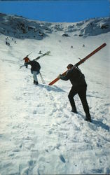 Tuckerman Ravine in Springtime, Mt. Washington Postcard