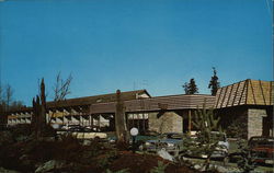 Thunderbird Motel & Restaurant Postcard