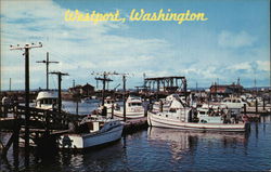 Westport Fishing Fleet Washington Postcard Postcard Postcard