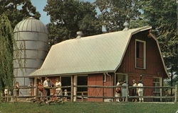Cleveland Zoo - Children's Farm Postcard