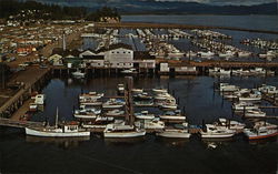 Port Basin Ilwaco, WA Postcard Postcard Postcard