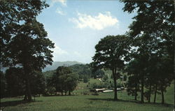 Cataloochee Ranch and Meadows Postcard