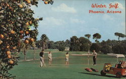 Golfing in the Valley of the Sun Phoenix, AZ Postcard Postcard Postcard