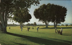 Needles Municipal Golf Course California Postcard Postcard Postcard