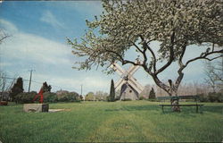 Eastham Windmill Massachusetts Postcard Postcard Postcard