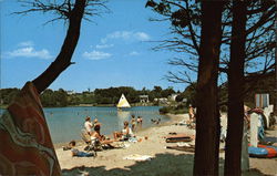 Beach Dennis, MA Postcard Postcard Postcard