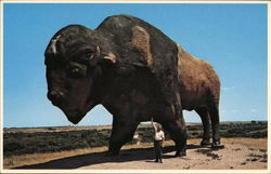 World's Largest Buffalo Jamestown, ND Postcard Postcard Postcard