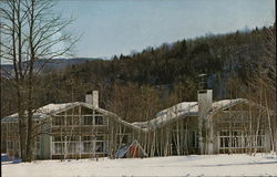 The Christmasn Tree - Country Inn Warren, VT Postcard Postcard Postcard