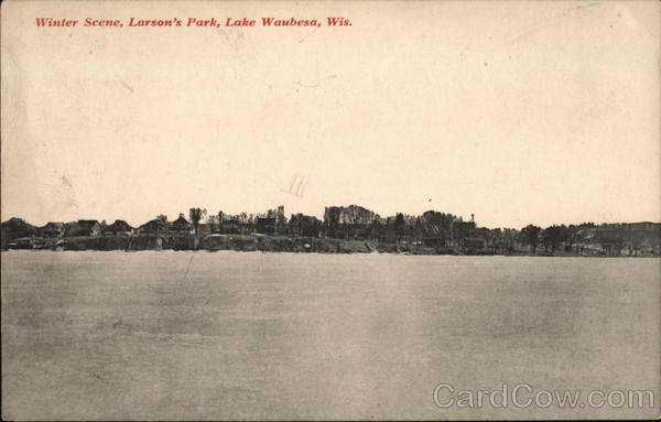 Winter Scene, Larson's Park Lake Waubesa Wisconsin