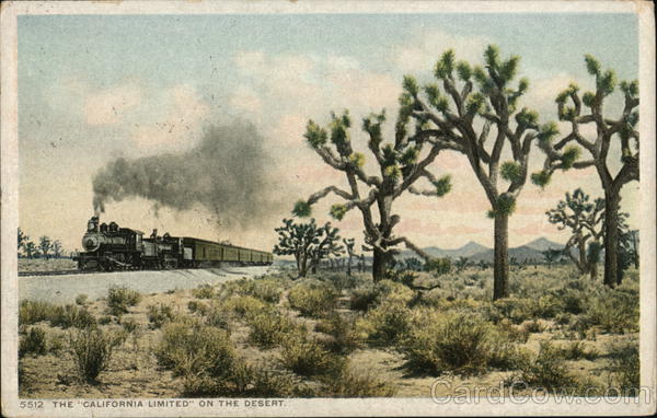 The California Limited On The Desert Railroad (Scenic)