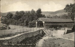Old Red Bridge, Fairview Park Cobleskill, NY Postcard Postcard Postcard