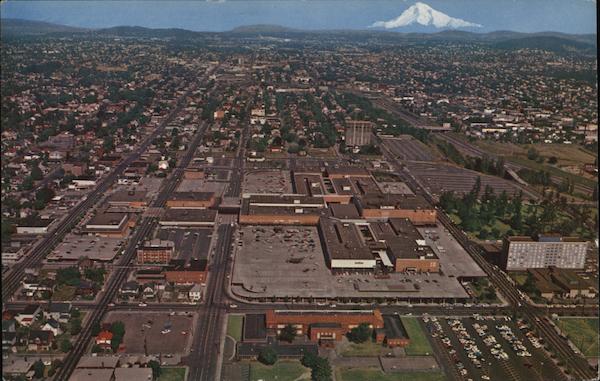 Aerial View of City and Mt. Hood Portland Oregon