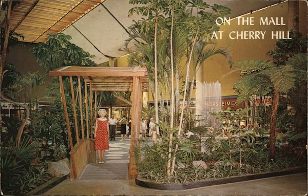 Cherry Hill Shopping Center New Jersey