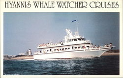 Hyannis Whale Watcher Cruises Postcard