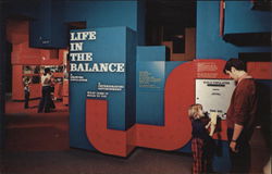 Life in the Balance, Museum of Science Boston, MA Postcard Postcard Postcard