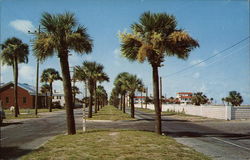 Waterfront Avenue on Tybee Island Beach Resort Postcard