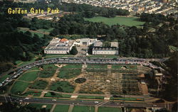 Stock #537864 Thumbnail