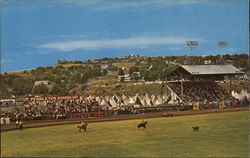 Pendleton Round-Up Oregon Postcard Postcard Postcard