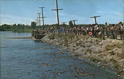 Pymatuning Lake - Feeding the Fish at Spillway Linesville, PA Postcard Postcard 