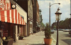 Chicago's Old Town Postcard