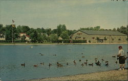 Wild Duck Pond, Bergen County Park Ridgewood, NJ Postcard Postcard Postcard