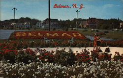 Formal Gardens at Fifth Avenue Belmar, NJ Postcard Postcard Postcard