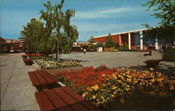 Stock #538533 Thumbnail