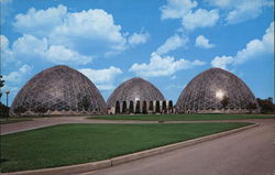 Mitchell Park Horticultural Conservatory Postcard