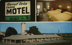 Harvest DriveFarm Motel Postcard