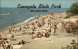 Evangola State Park on Lake Erie Postcard