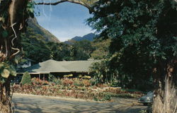 Waioli Tea Room, Manoa Valley Waioli Tea Room, Manoa Valley