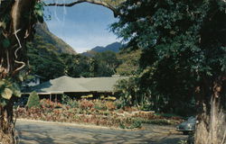 Waioli Tea Room, Manoa Valley Honolulu, HI Postcard Postcard Postcard