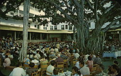 Moana Hotel, Waikiki - Banyan Court Postcard